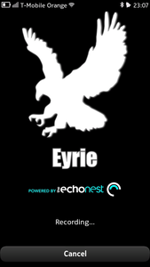 Eyrie start up